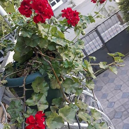 Homestay Izolda บาทูมิ ภายนอก รูปภาพ